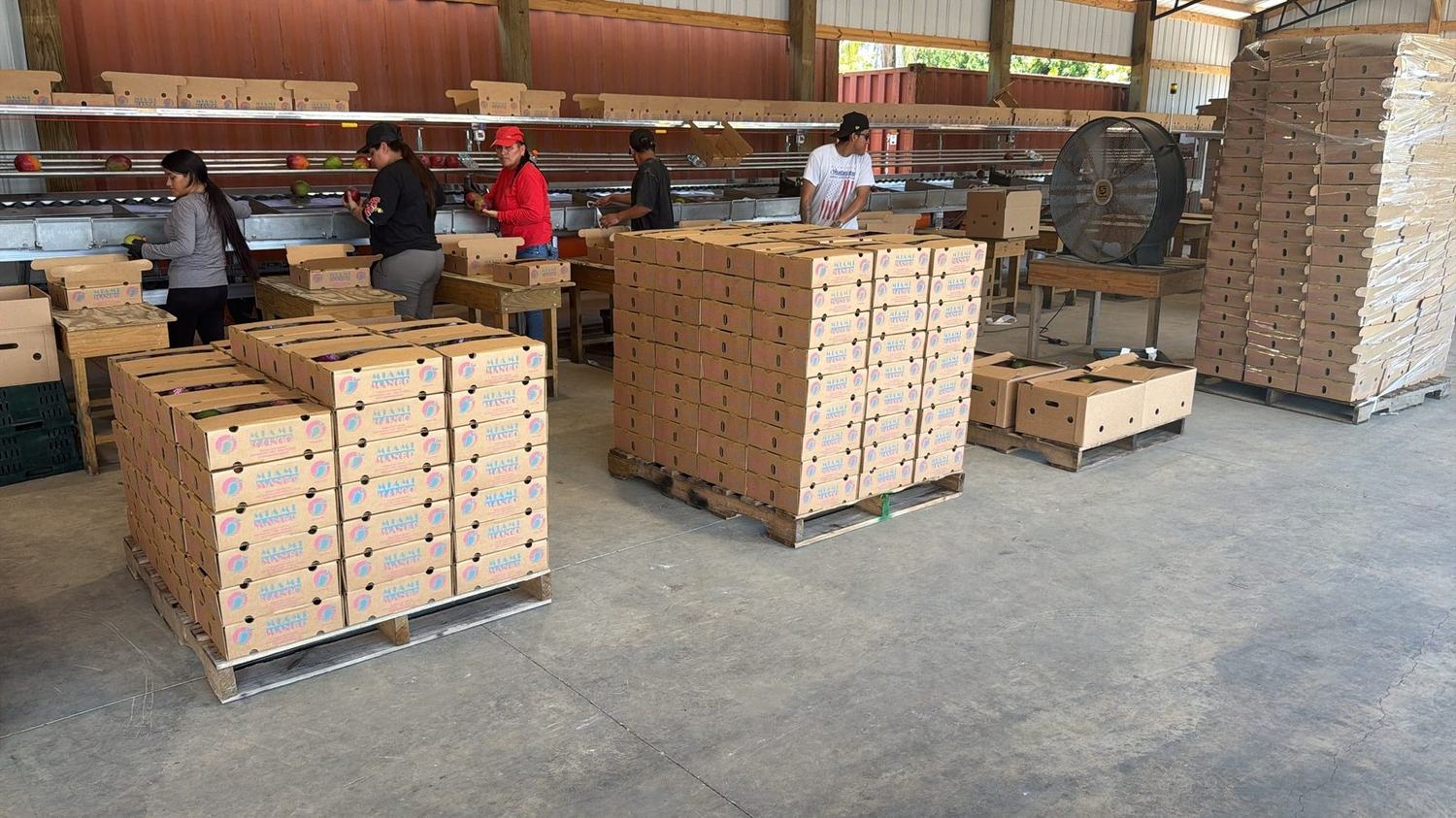 The Seasons Farm Fresh team at the Miami warehouse