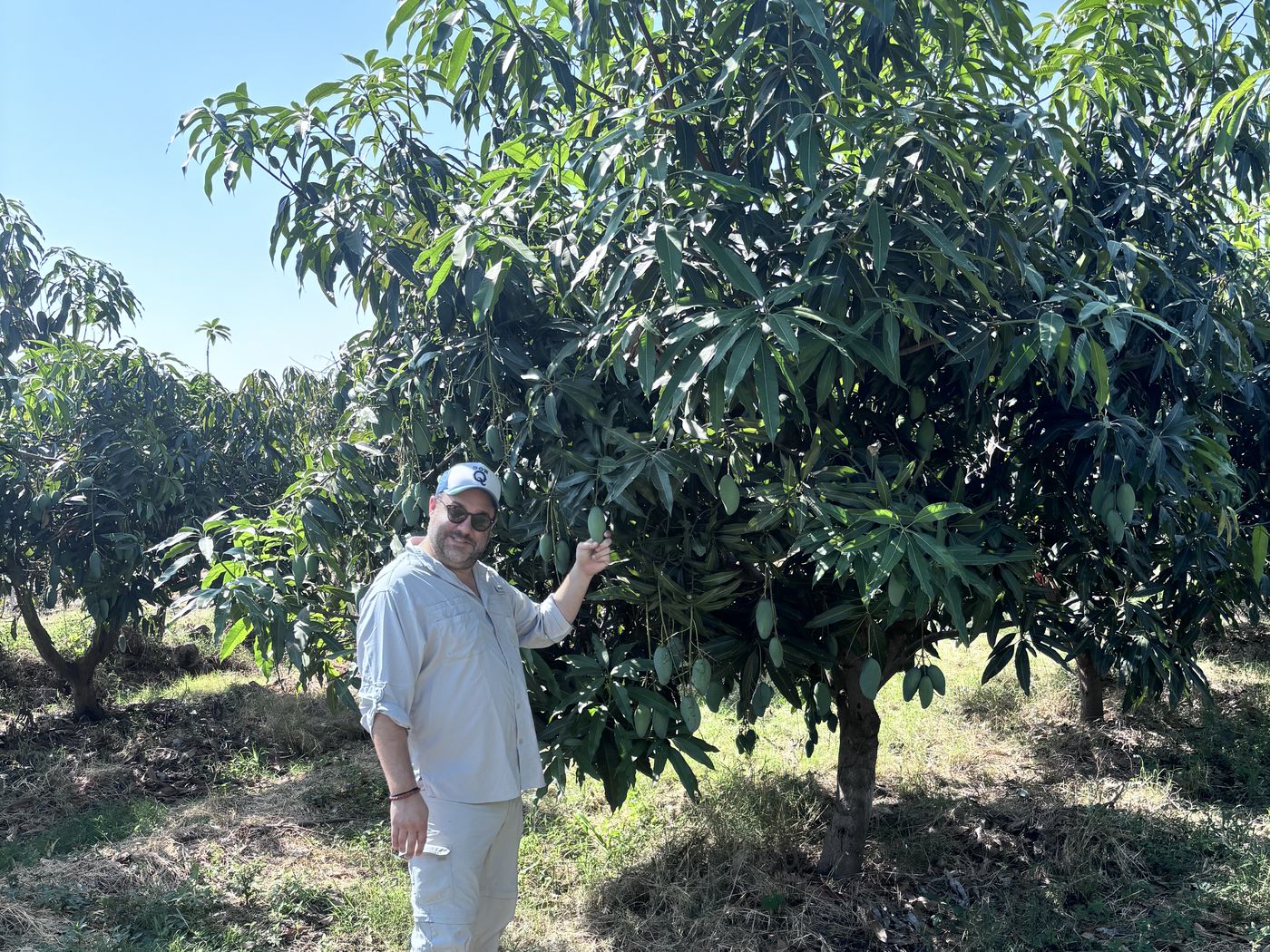 A partner grower inspecting fruit on the tree