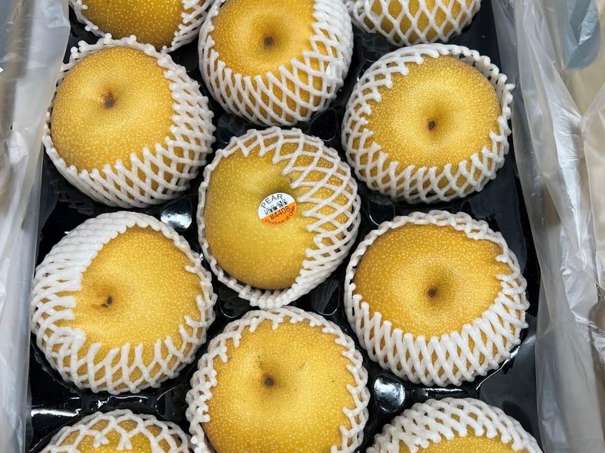 Asian Pear