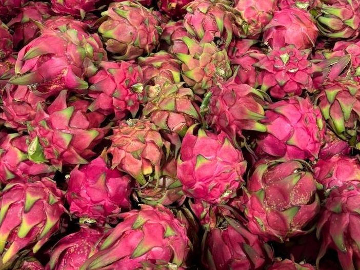 Dragonfruit