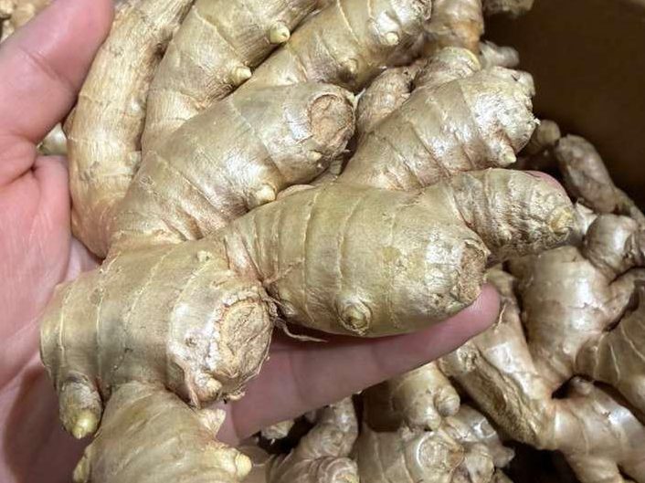 Ginger, fresh