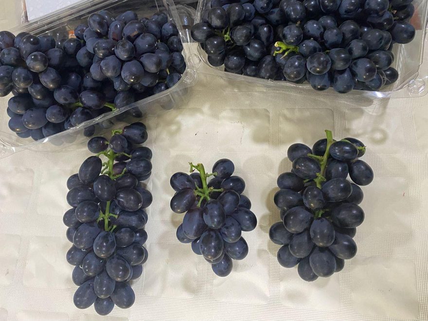Vitoria Black Seedless Grape