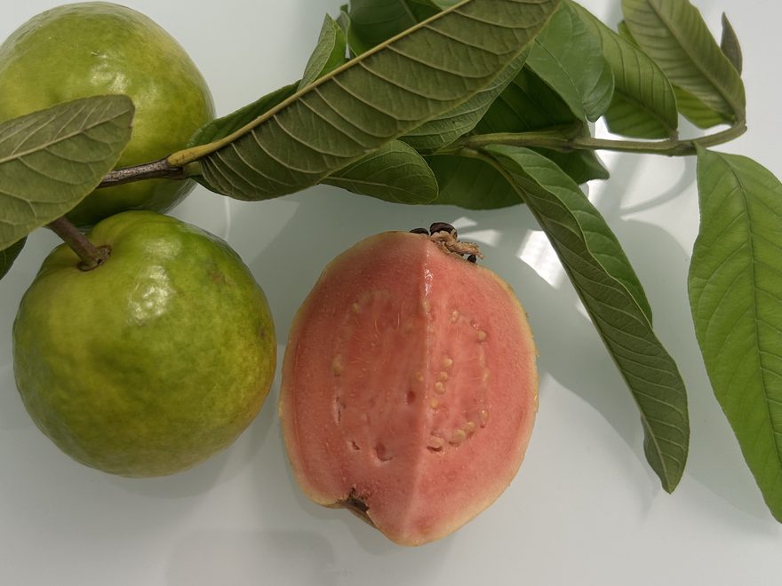 Guava, pink & Thai