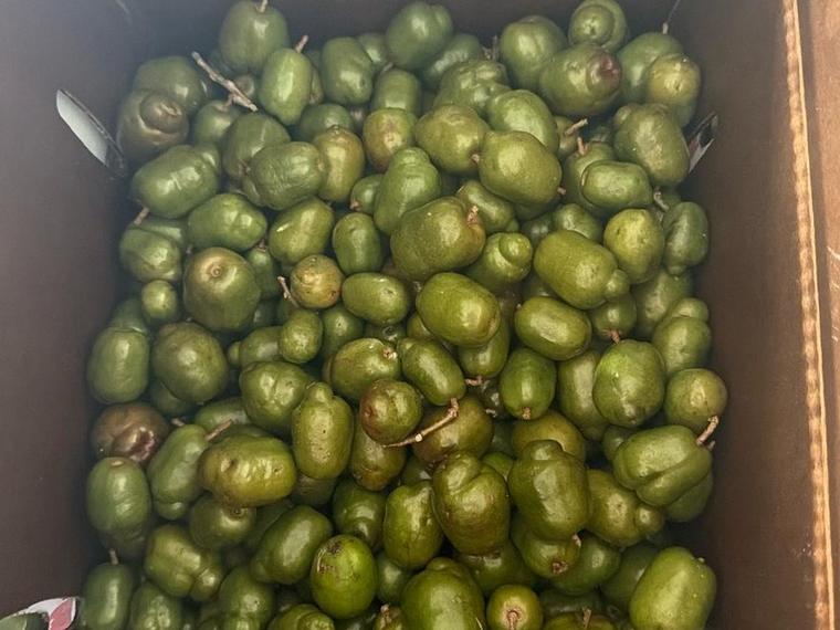 June Plum