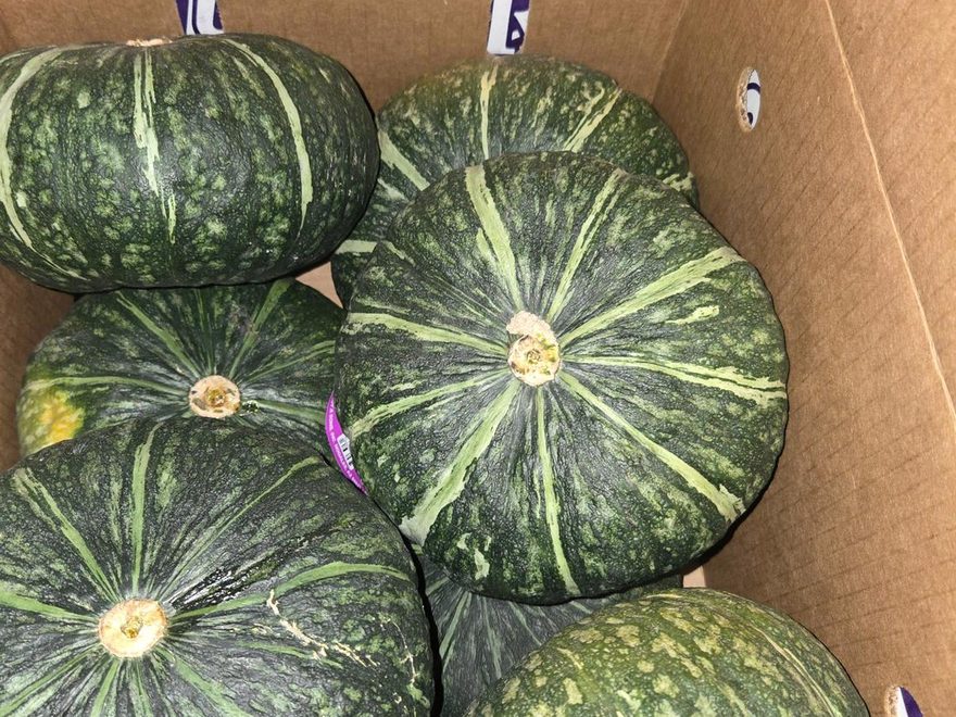 Kabocha Squash