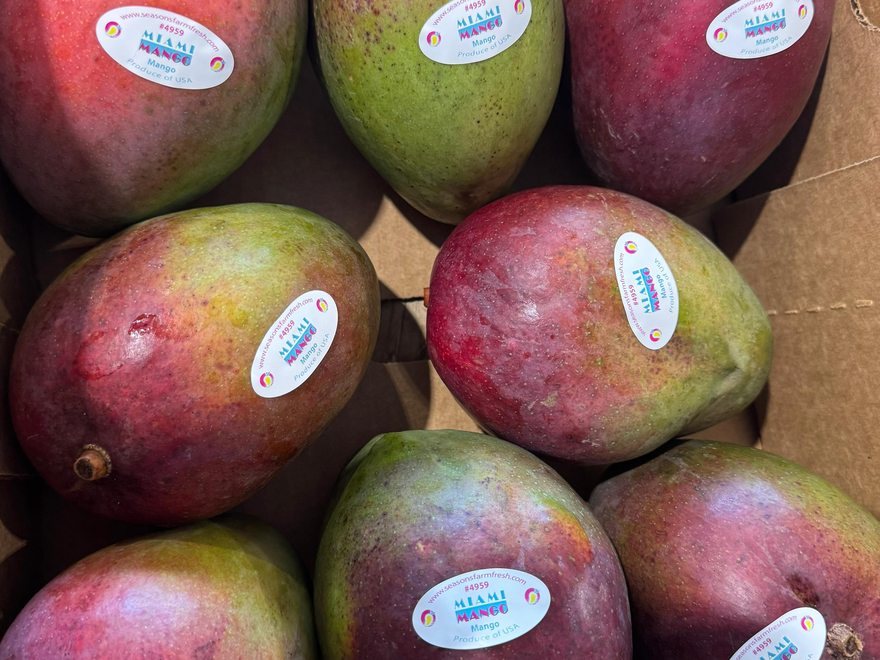 Miami Mango™