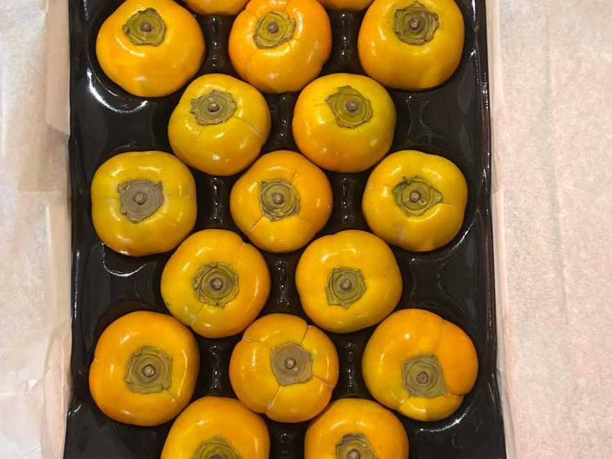 Persimmon