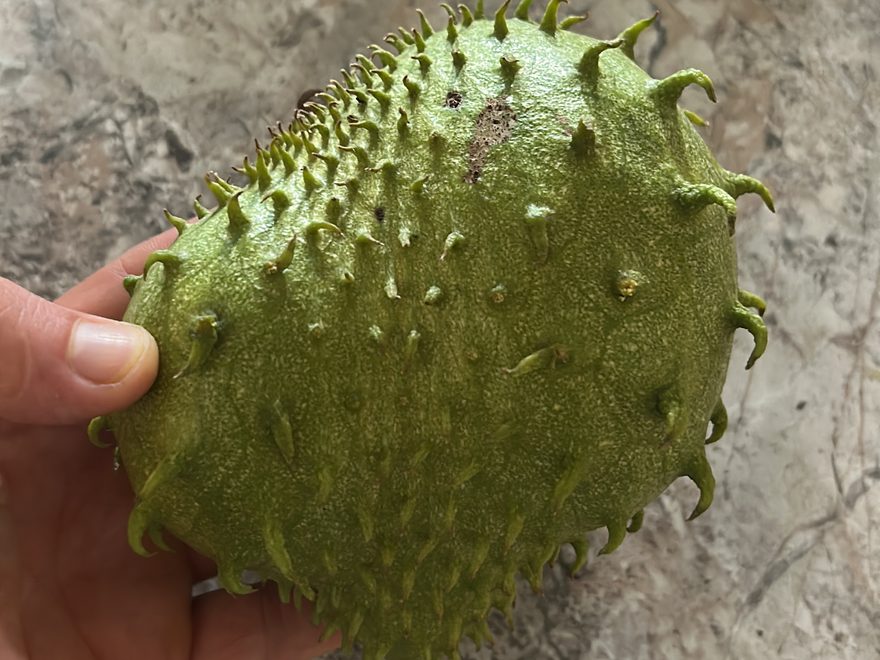 Soursop