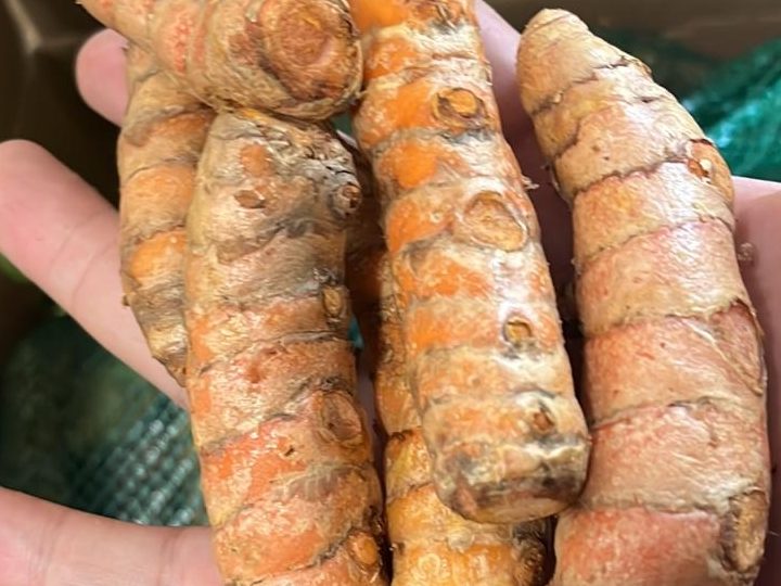 Turmeric