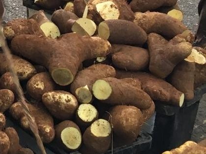 Yam, yellow