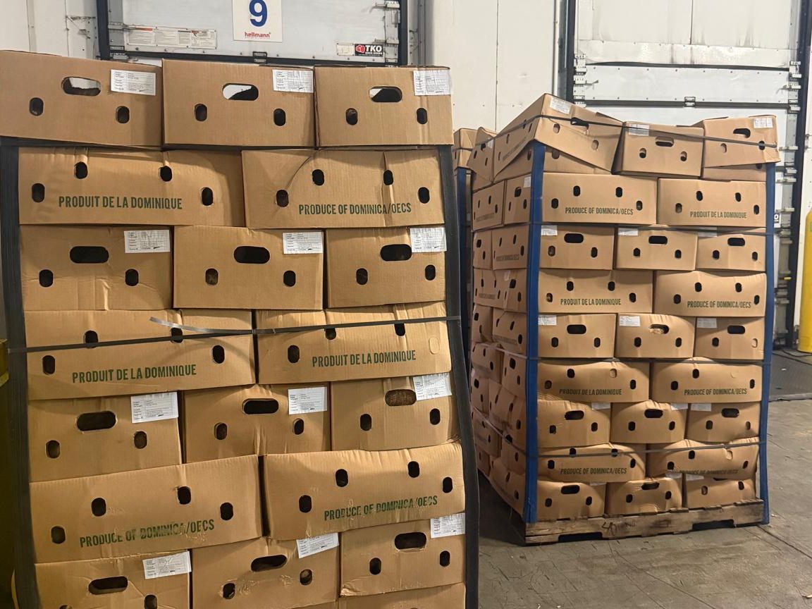 Palletised produce staged on the warehouse floor for freight
