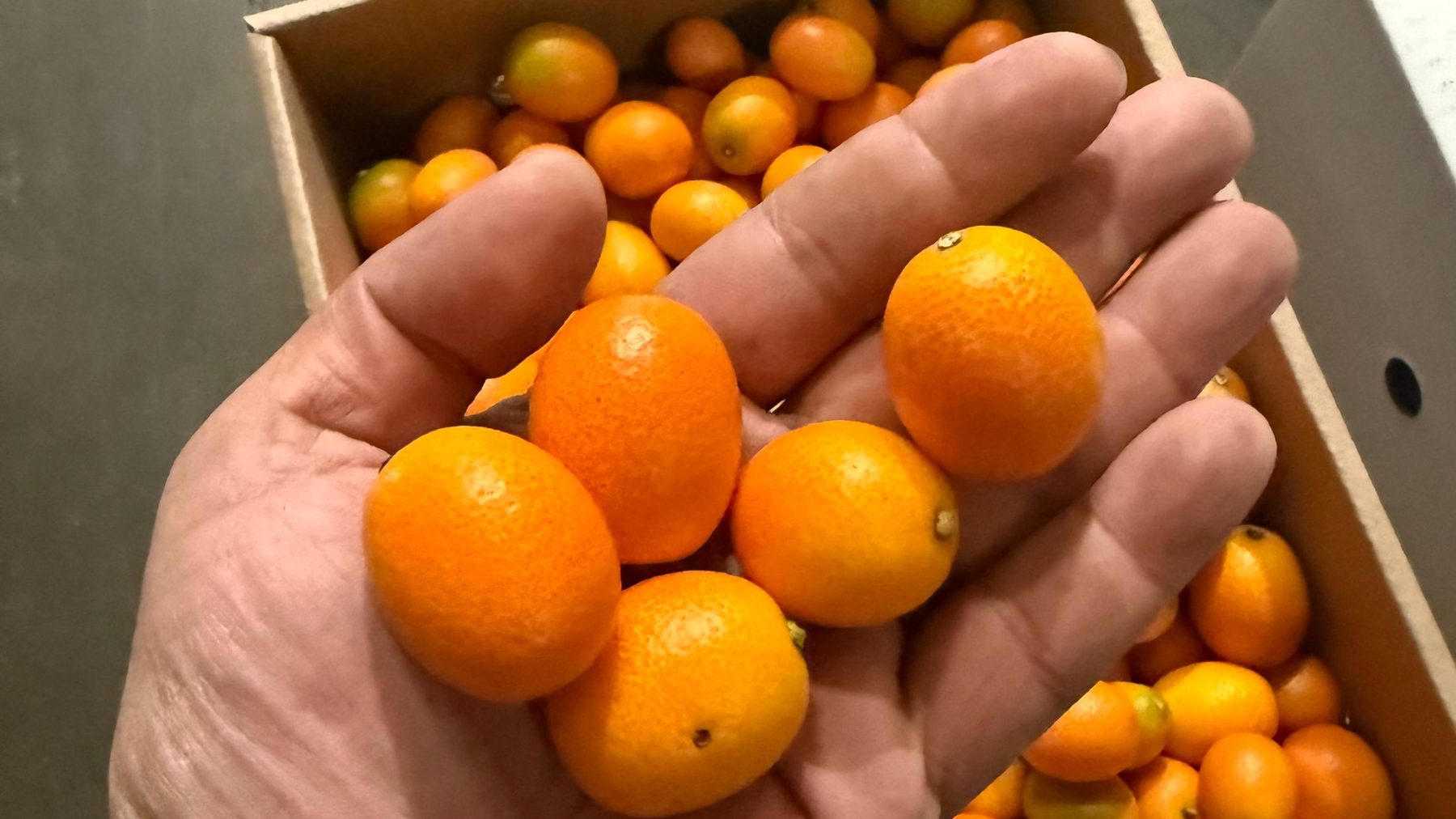 Seasons Farm Fresh produce featured in trade press