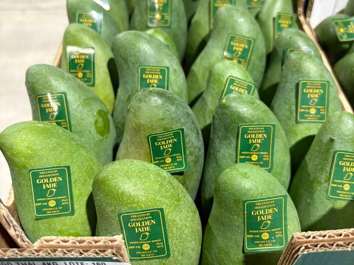 Golden Jade™ Mango