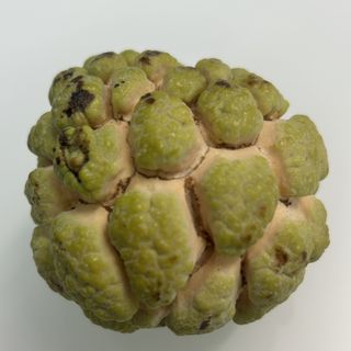 Cherimoya & Sugar Apple