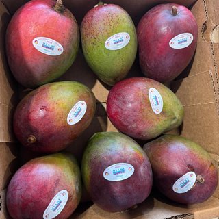 Mango
